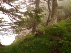 2013-06-23_Sonnenspitz_Jochberg (279).JPG